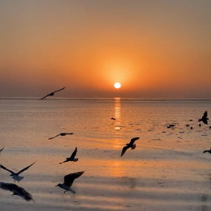 只是朋友 录音版 伴奏