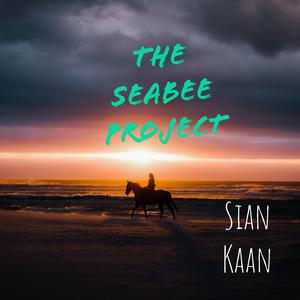 Sian Kaan