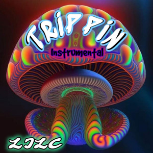 TRIPPIN (Instrumental Version)