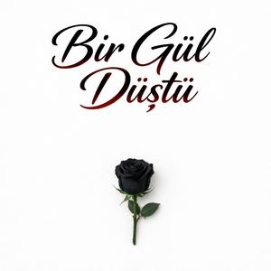 Bir Gül Düştü