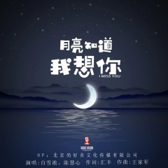 月亮知道我想你 (DJ阿远版)