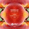 Marcellus (UK) - Peaches (Tomi&Kesh Remix)