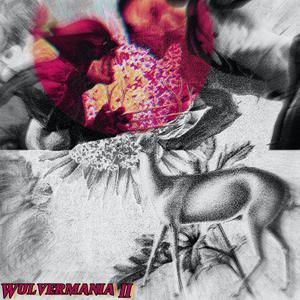 WOOOOOOOOO (Son Of A Gun)