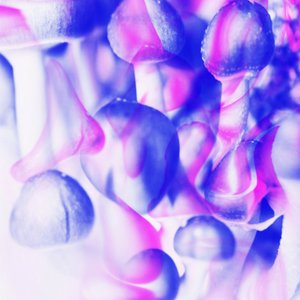 Phase4 (Psy-Bass Mix)