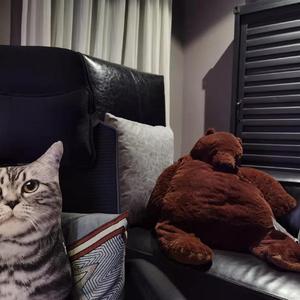 D幻想家 (Prod by 仕宗圣)