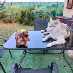 TOYS CENTER CARNEVALE