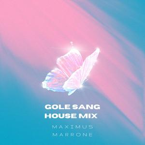 Gole Sang (feat. Hayedeh) (House Mix)