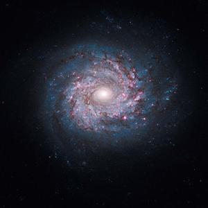 HUBBLE