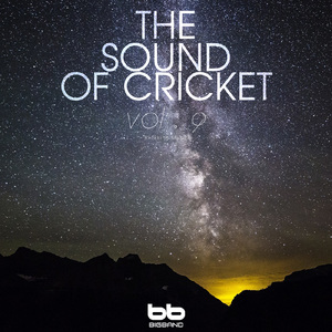 Cricket Sound at Glamping Site