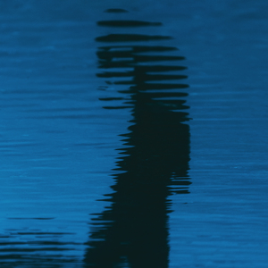 The black silhouette