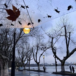 近在咫尺，的你