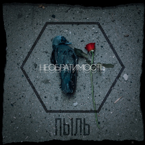 Холодные крылья