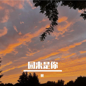 园来是你