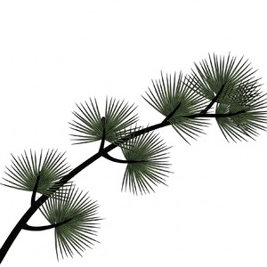 Японский мотив