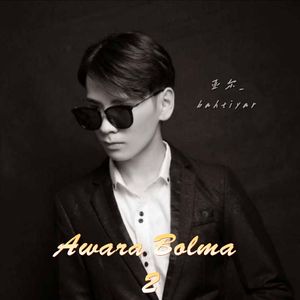 Awara Bolma 2 (别再指望 2)