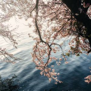 代替（原来思念也有呼吸）