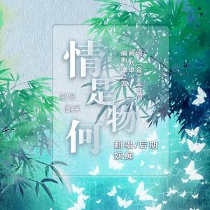 情是何物（翻自 周深）