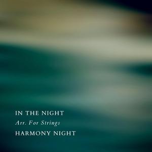 In The Night Arr. For Strings