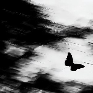 你过得还好吗 梓渝