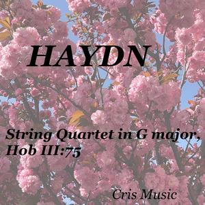String Quartet in G Major, Hob.III:75: 2. Adagio sostenuto