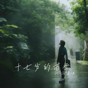 十七岁的雨季 (Cover 林志颖)