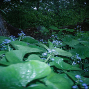 Сигнальные огни