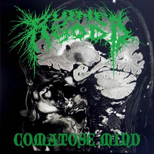 Comatose Mind