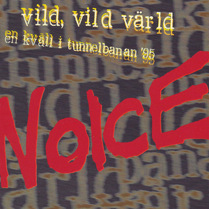En Kväll I Tunnelbanan '95