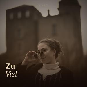 Zu Viel