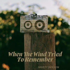 A Memory Growing Under Pale Skies