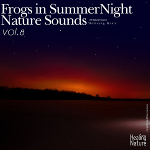 밤하늘아래 숲 속에 펼쳐지는 위대한 자연의 소리 10