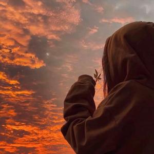 樱花树下的约定（抖音女声版）