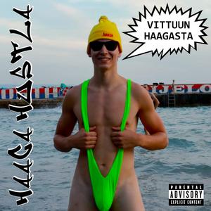 Vittuun Haagasta
