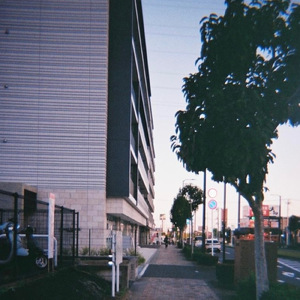 あの時僕が死にかけたのは多分嘘で