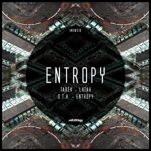 Entropy