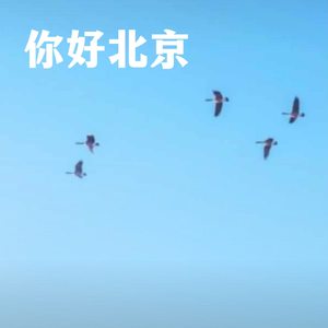 你好北京