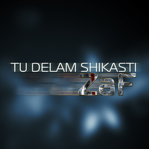 Tu delam shikasti