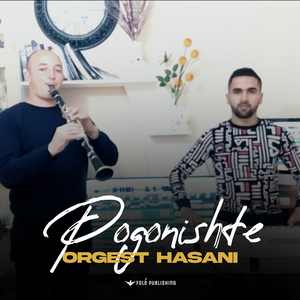 Pogonishte