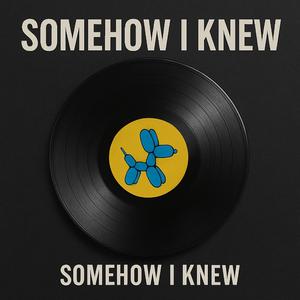 Somehow I Knew (feat. ΛERΛ)
