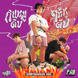 กินหมูดิบ ให้หูดับ (Streptococcus Suis)