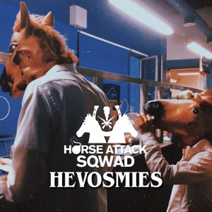 Hevosmies
