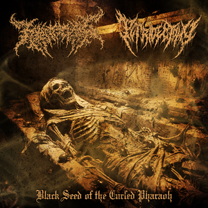 Black Seed of the Cursed Pharaoh