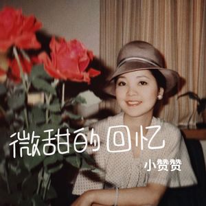 微甜的回忆（电影重返二十岁插曲）