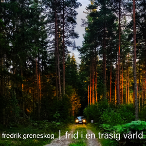 Frid i en trasig värld