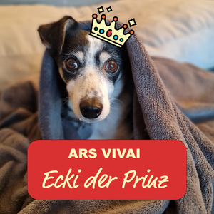 Ecki der Prinz