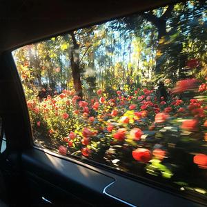 那些你教会我的事（cover徐子未 孟慧圆）