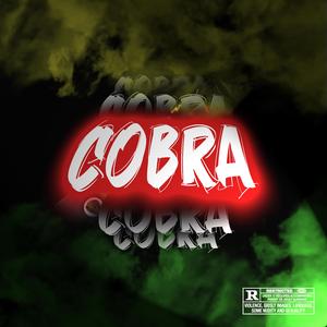 COBRA