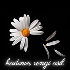 Kadının Rengi Asil