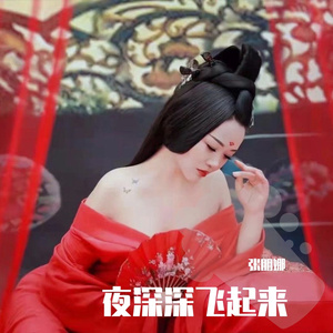 夜深深飞起来