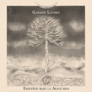 Ensueños Bajo la Araucaria